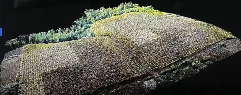 orthomosaic 3D map of a commercial orchard used for crop management