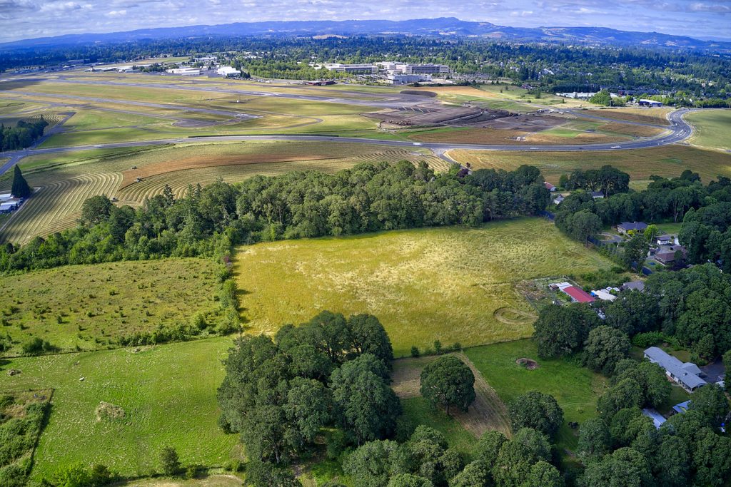 Farm pasture