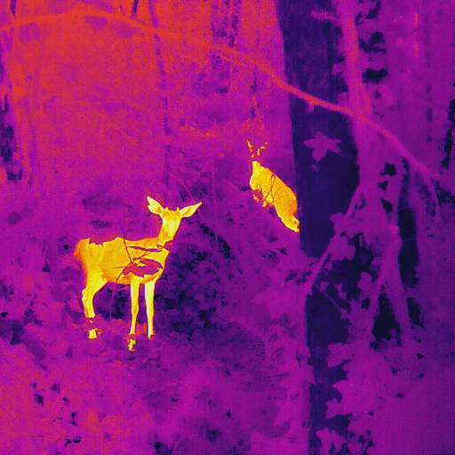 aerial thermal image of deer - aerial surveying for wildlife management